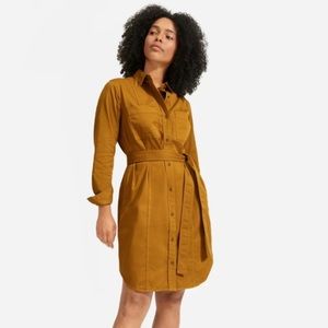 Everlane Modern Utility Shirtdress